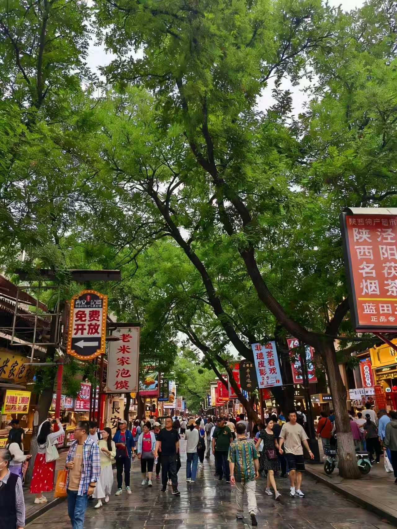 Xi'an travel guide gallery photo 3 of 5
