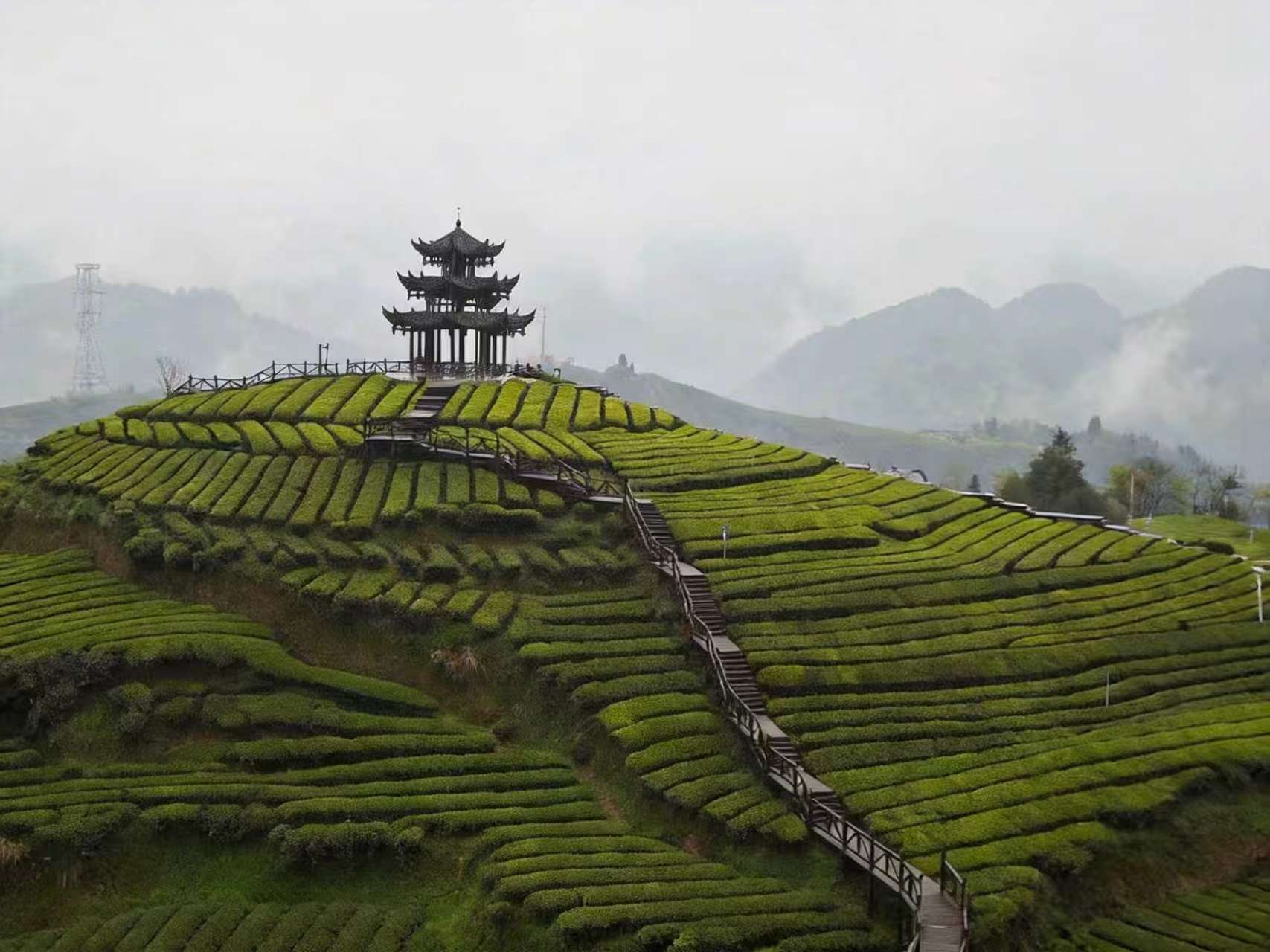 Hangzhou travel guide gallery photo 2 of 5