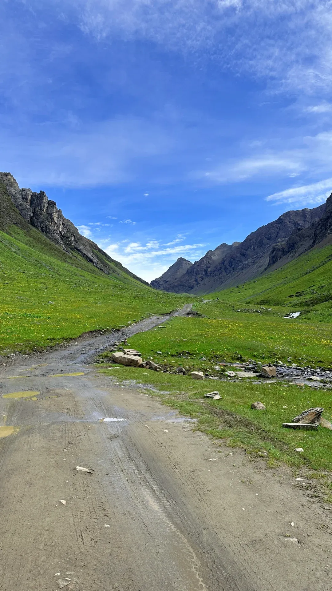 A dirt farm track with puddled tire ruts crossing an open valley, slopes dotted with yellow wildflowers