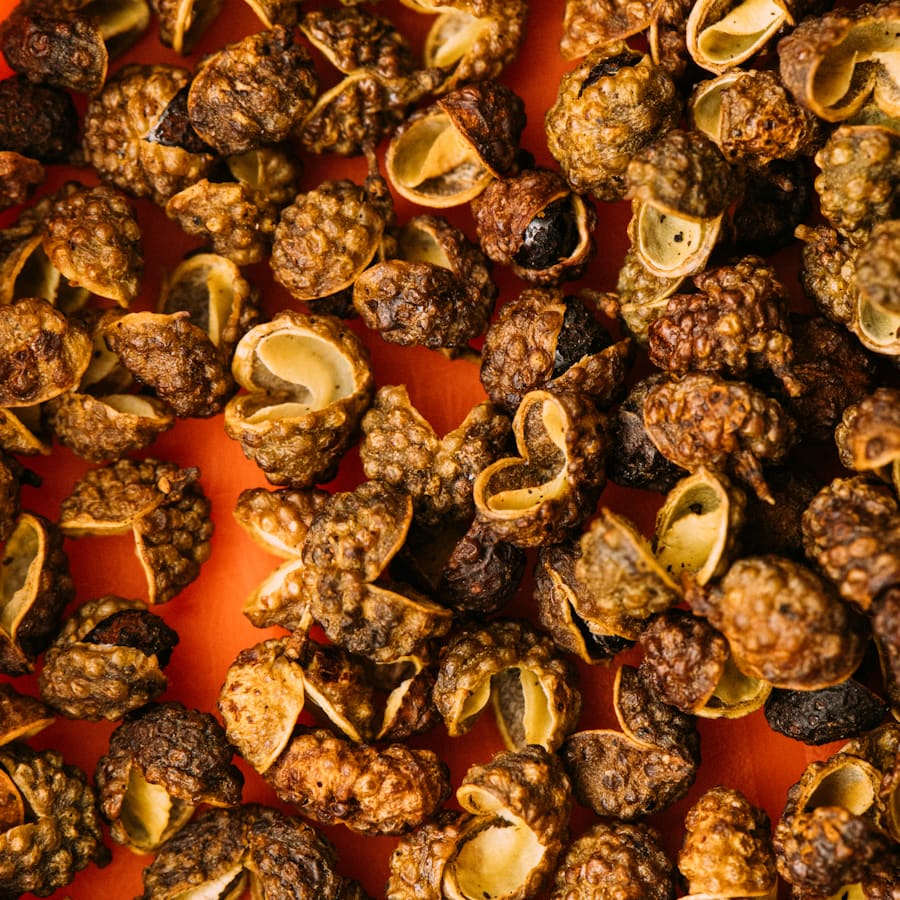 Dried Sichuan peppercorns up close — the husks that deliver the numbing half of mala